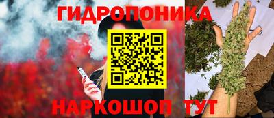 jwh Гусев