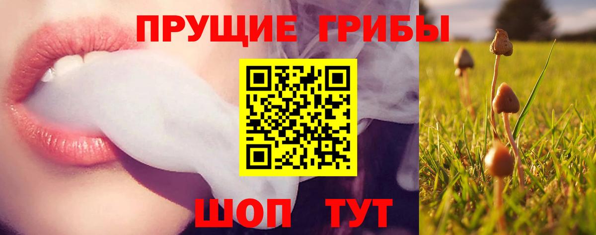 Лысьва  Псилоцибиновые грибы Magic Shrooms  Вход с VPN 