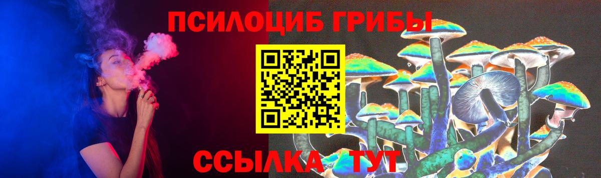 Псилоцибиновые грибы мицелий Лысьва
